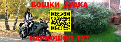 хмурый Гай