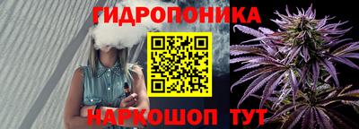 хмурый Гай