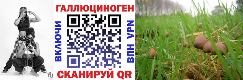 Псилоцибиновые грибы прущие грибы  сколько стоит  Беслан 